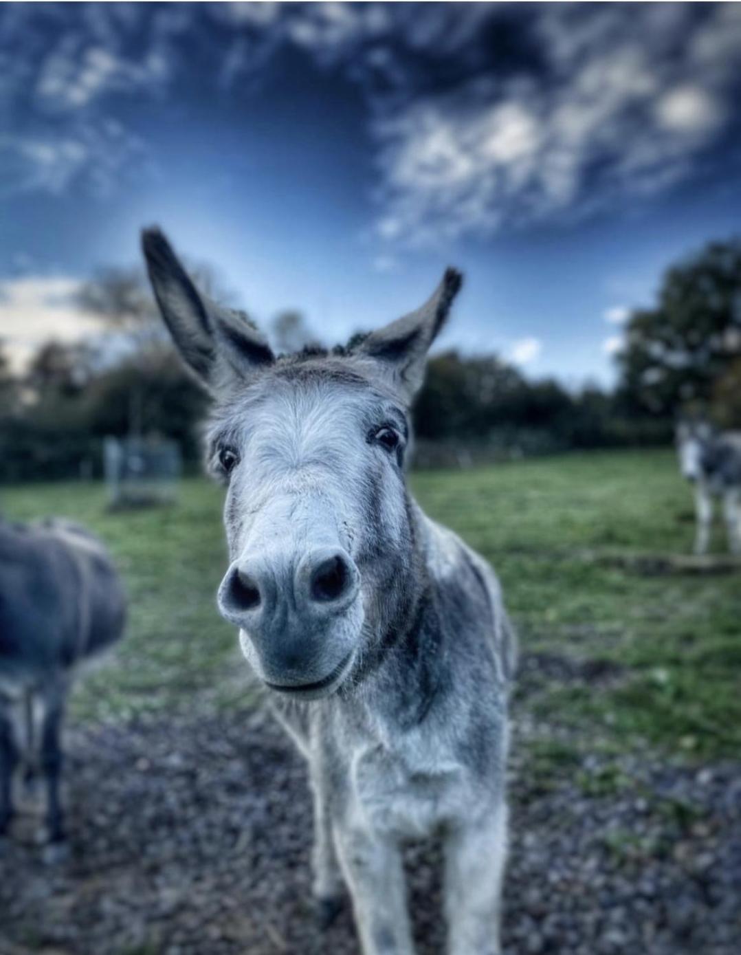 Sometimes Zimmer Gehaichnishof 7Born Maring-Noviand Exteriér fotografie