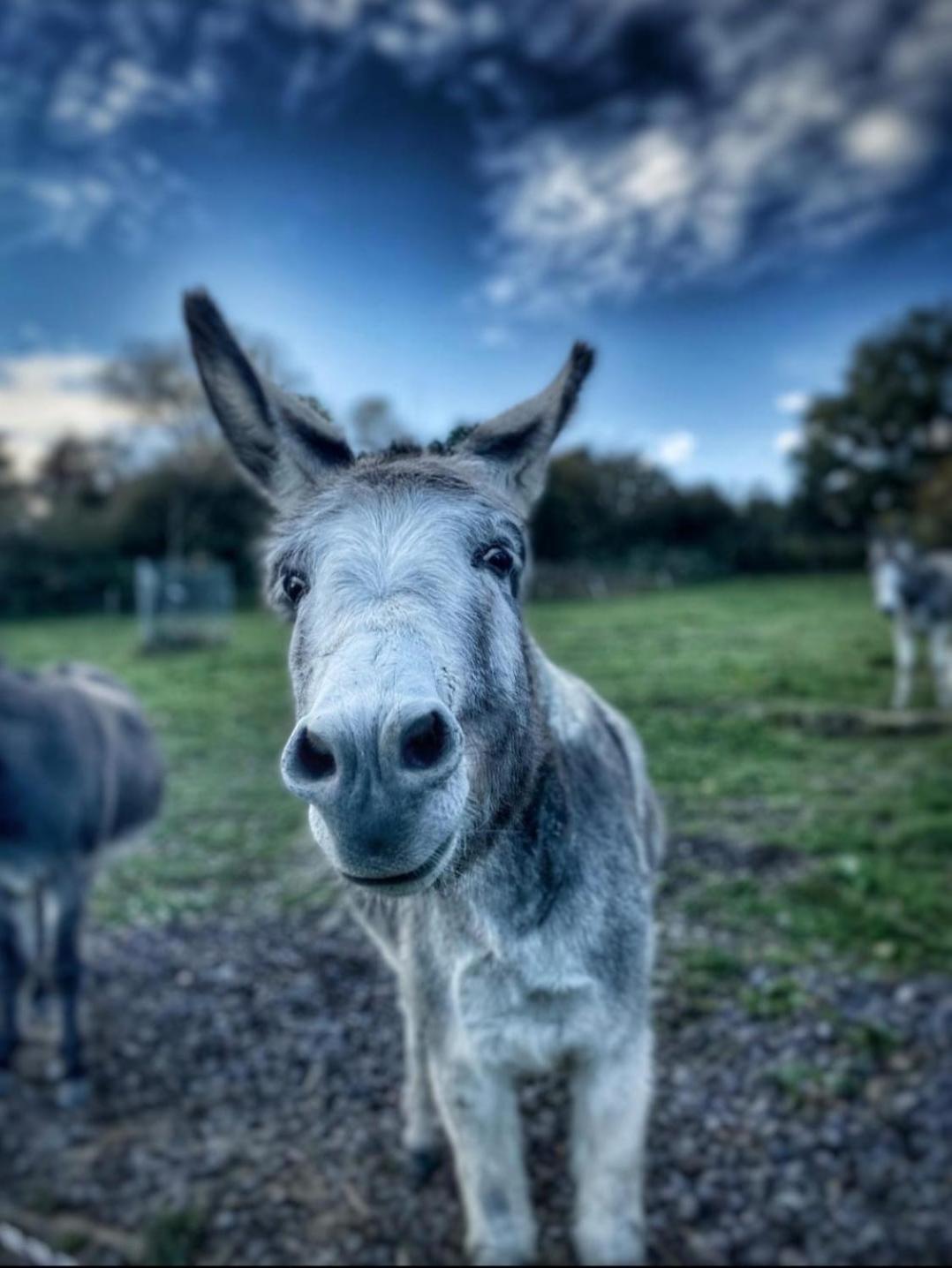 Sometimes Zimmer Gehaichnishof 7Born Maring-Noviand Exteriér fotografie